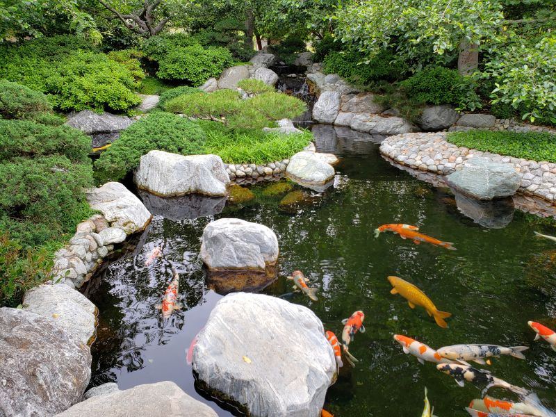 Fish Pond Installation in Ventura County, CA