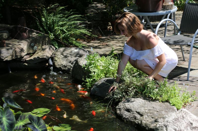 Garden Pond Installation in Honolulu, HI