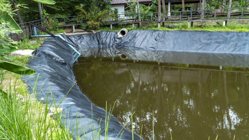 Garden Pond Installation in Ventura County, CA