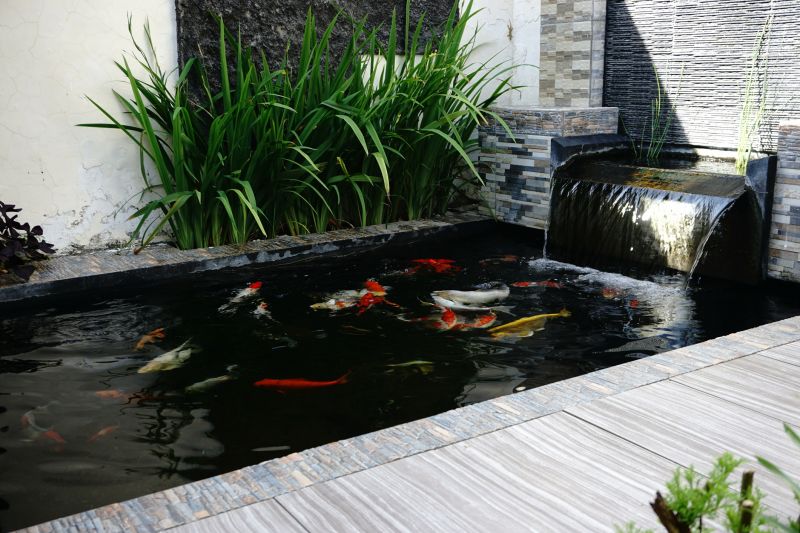 Koi Pond Construction