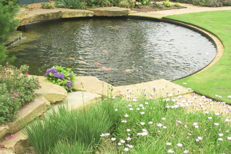 Pond Installation in Honolulu, HI